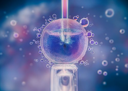 Fertilização In Vitro